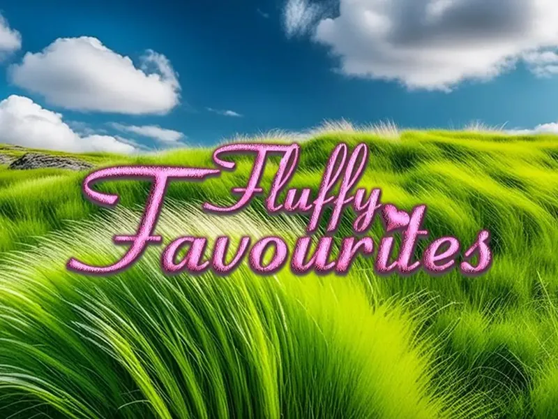 Fluffy Favourites game cover